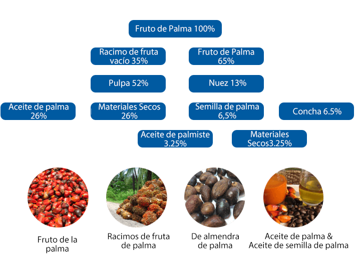 Equipos de procesamiento de aceite de palma